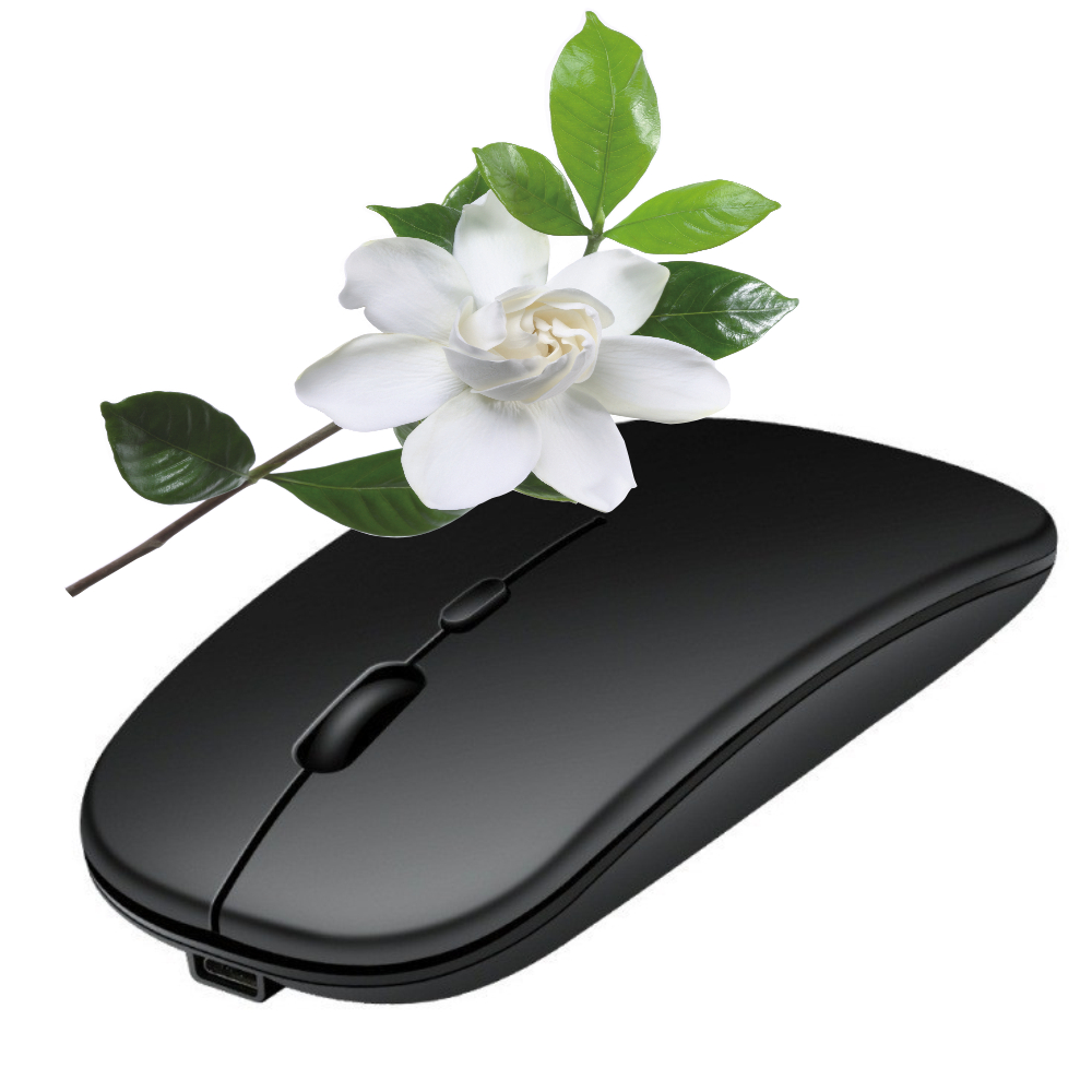 Souris Bluetooth Rechargeable  - Pc Gaming X3D avis et prix