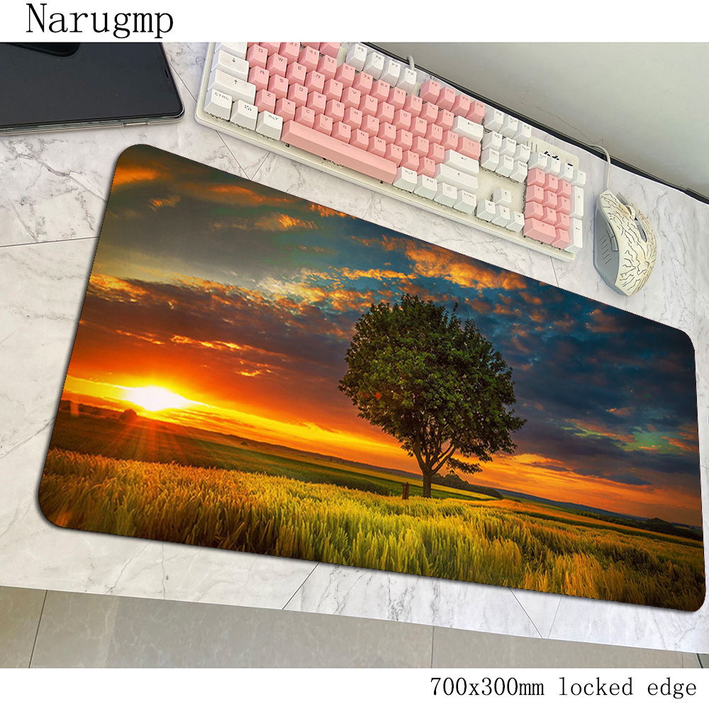 Tapis de souris coucher de sol - Pc Gaming World Of Warcraft avis et prix